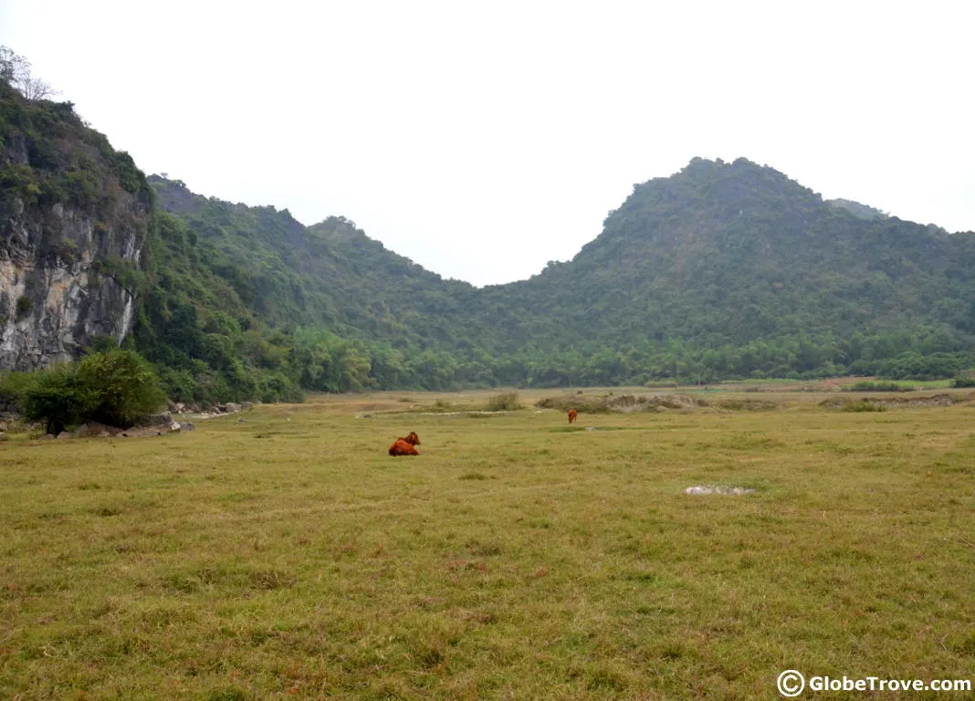 butterfly valley in halong bay vietnam