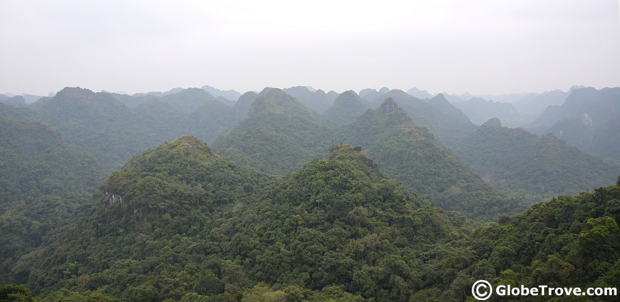 A bird's eye view from the man made view point at Cat Ba National Park
