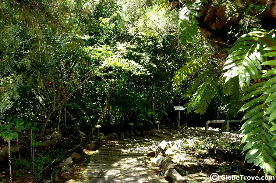 Sabah museum garden