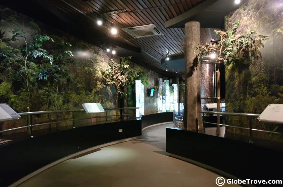 Sabah museum plants