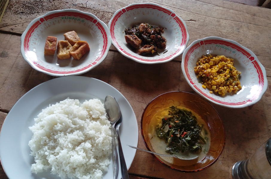 Home made local Indonesian cuisine. in Tetebatu village