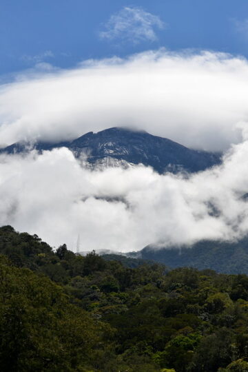 Kinabalu National Park And How I Got Attacked By Leeches 15 Kinabalu national park was an experience of a lifetime.