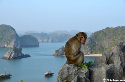 Globetrove Home 39 Cat Ba travel guide