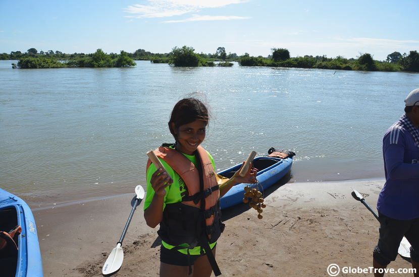 Kayaking with the Irrawaddy dolphins in Kratie