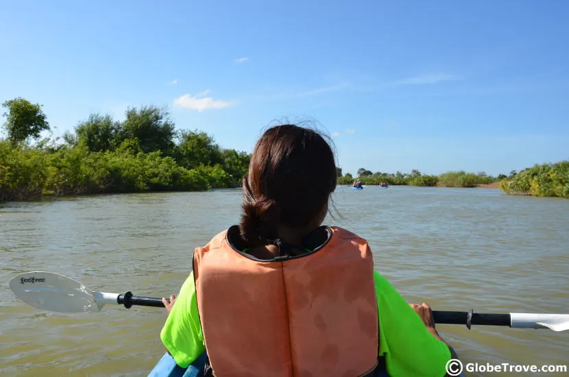 Kayaking with the Irrawaddy dolphins in Kratie