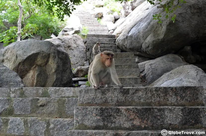 Gingee fort