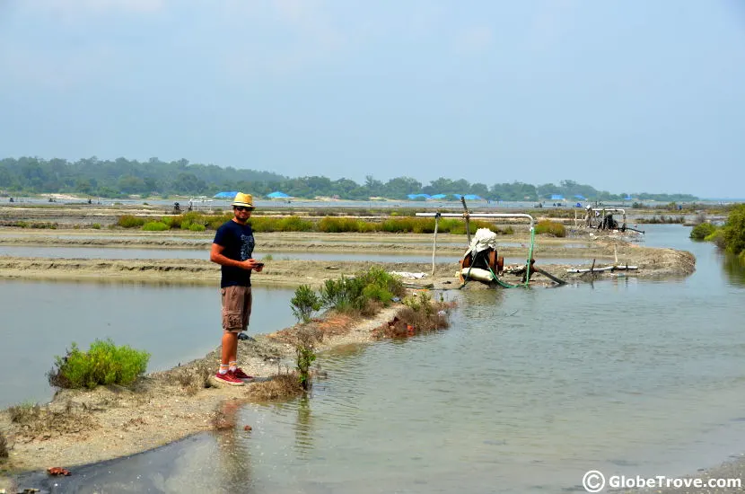 Road trip TN and Pondicherry salt fields