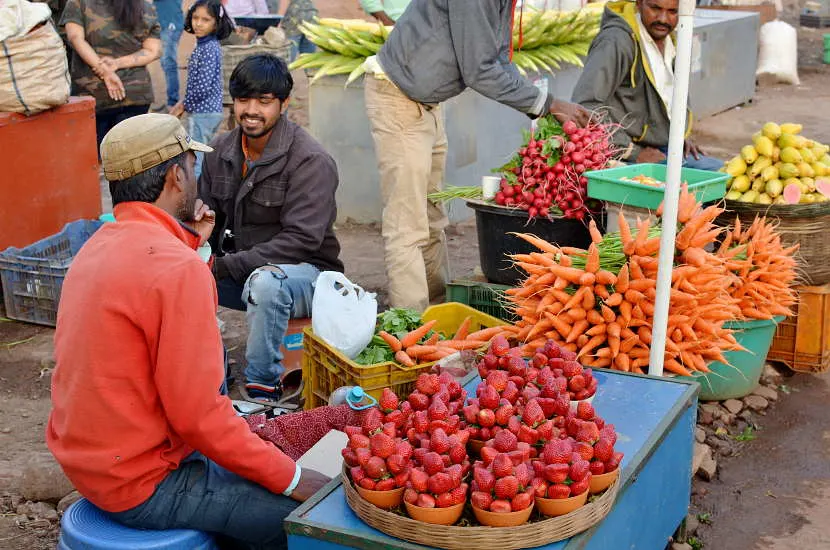 A quick tip to avoid getting sick in India is to wash all fruits before eating.