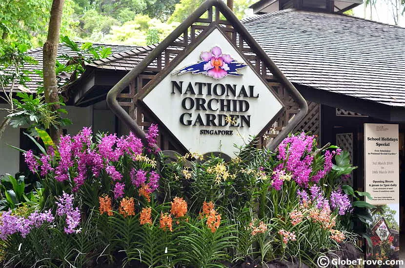 The National Orchid Garden in Singapore has a collection of different types of orchids and colourful displays.