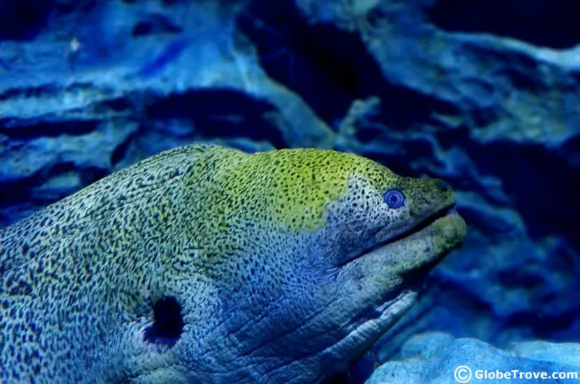 The Aquarium on Sentosa island.