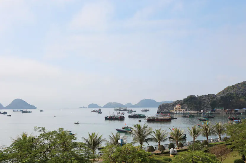 When asked where to go in Vietnam, Elisa suggested Cat Ba Island.