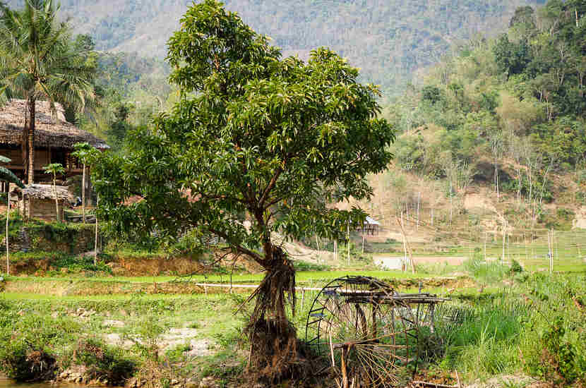 When asked where to go in Vietnam, Emily's suggestion was Pu Luong Nature Reserve.