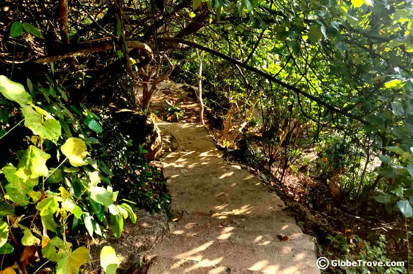 Trekking through to jungle to reach Jungle beach in Unawatuna, Sri Lanka.