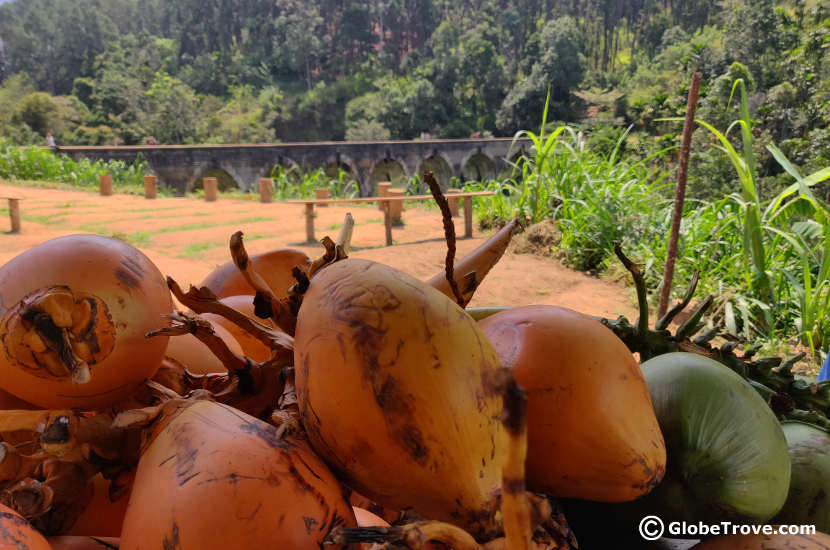 Catch a drink of coconut water at Nine Arch Bridge.