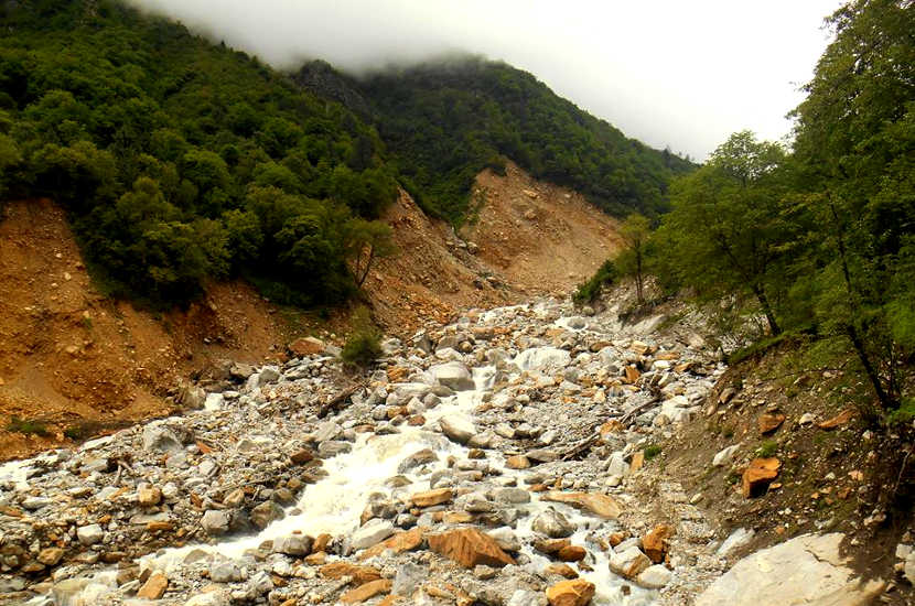 One of the natural UNESCO heritage sites in India is the valley of flowers.