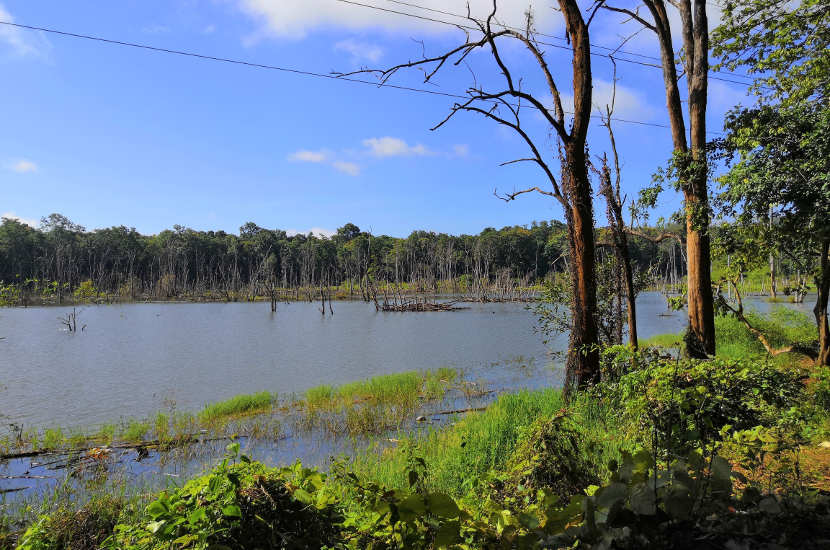 The Western Ghats is another one of the natural UNESCO heritage sites in India worth visiting.