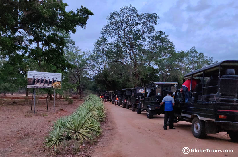 The line before we got into Yala National Park Safari.