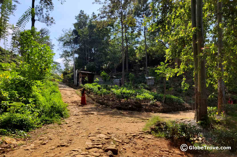 Here is where you should take the left and not to the right. It's the only bifurcation on the route to little Adam's peak.