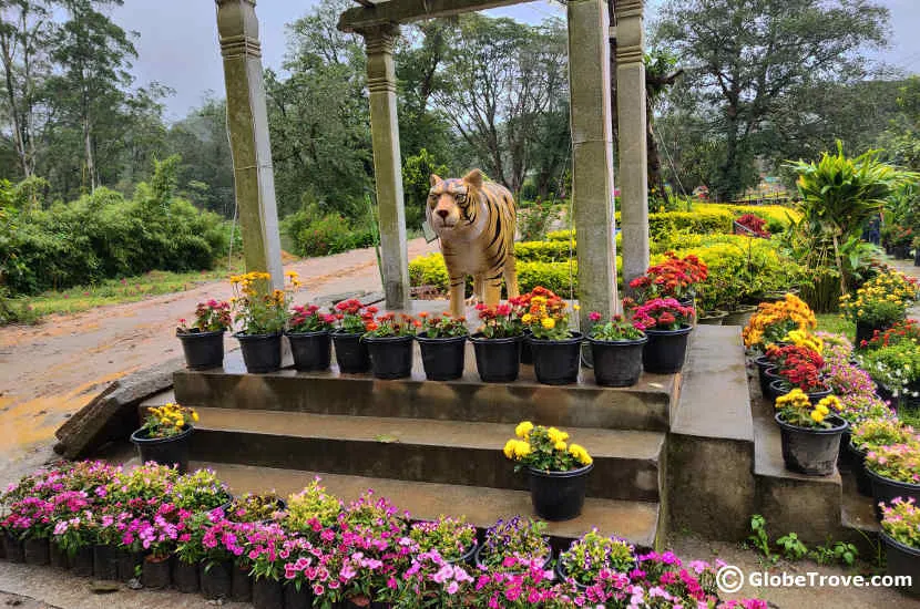 Gardens in Munnar