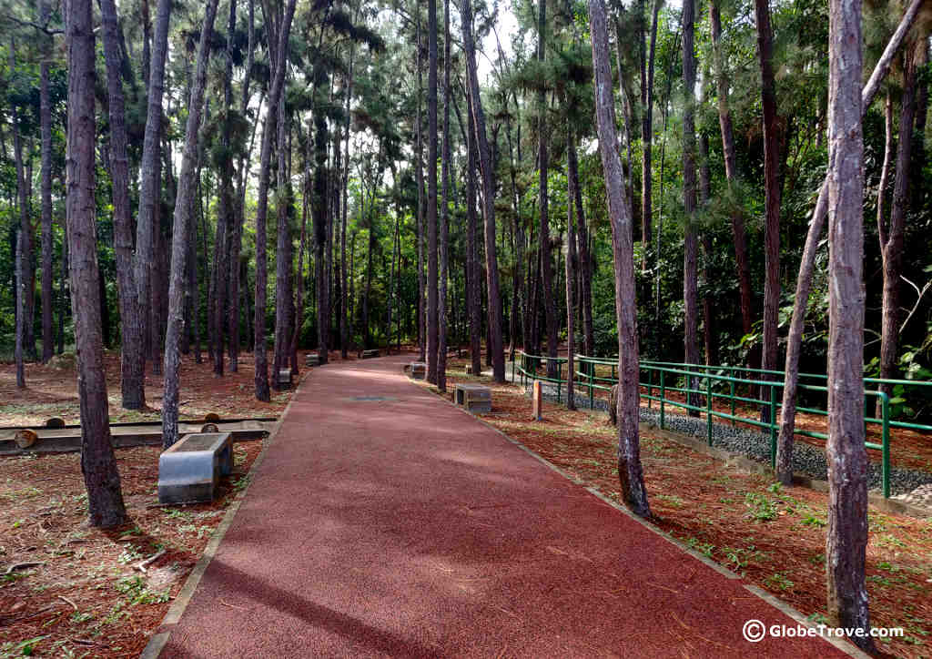 Bukit Shahbandar Forest Recreation Park &the Nine hills trek