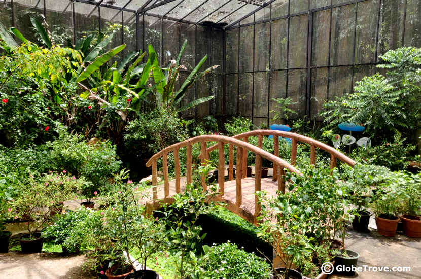 Inside the butterfly garden in Tasek Merimbun Heritage Park.