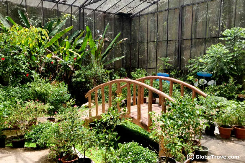 Inside the butterfly garden in Tasek Merimbun Heritage Park.