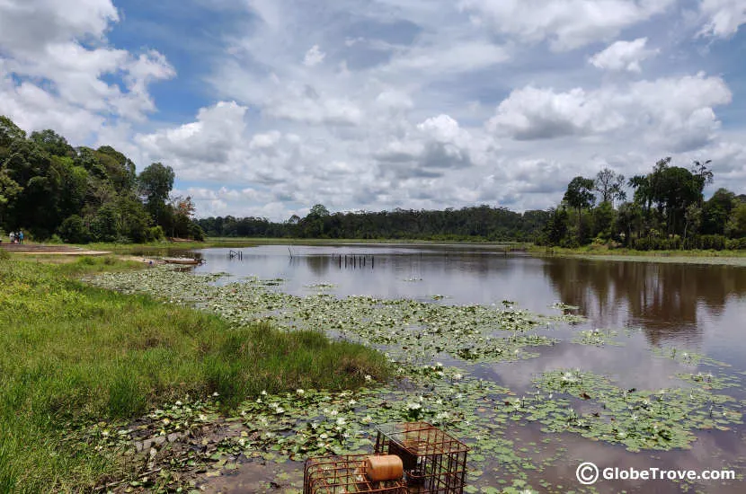 Another gorgeous view of Lake Merimbun.