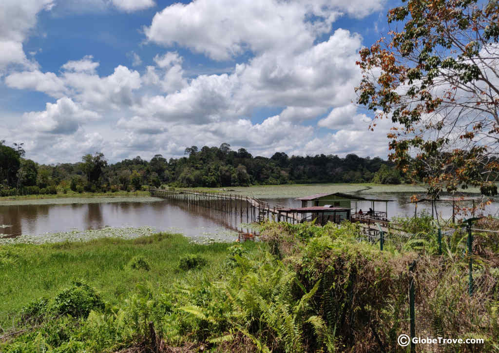 Tasek Merimbun Heritage Park: A Quiet Oasis In Brunei