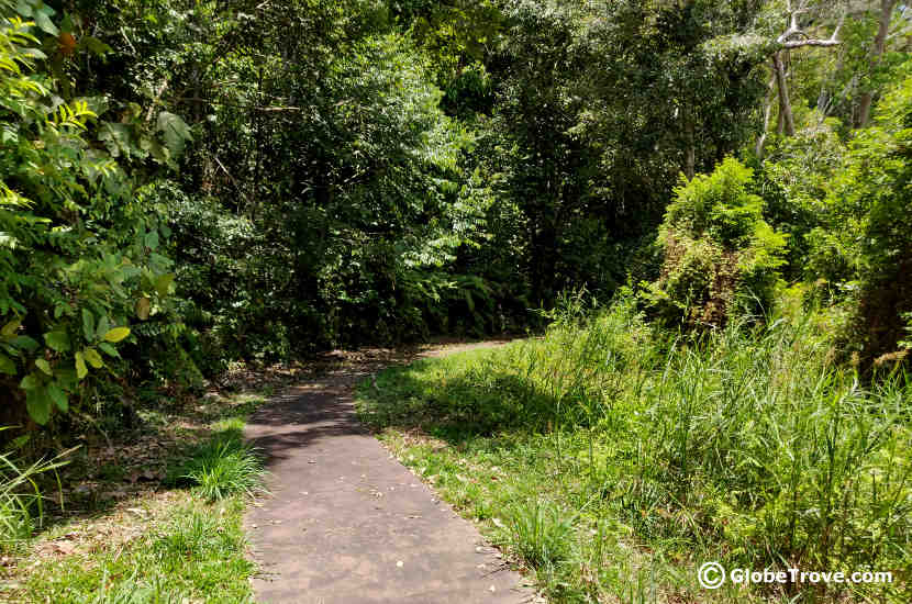 The walking trail along Lake Merimbun.