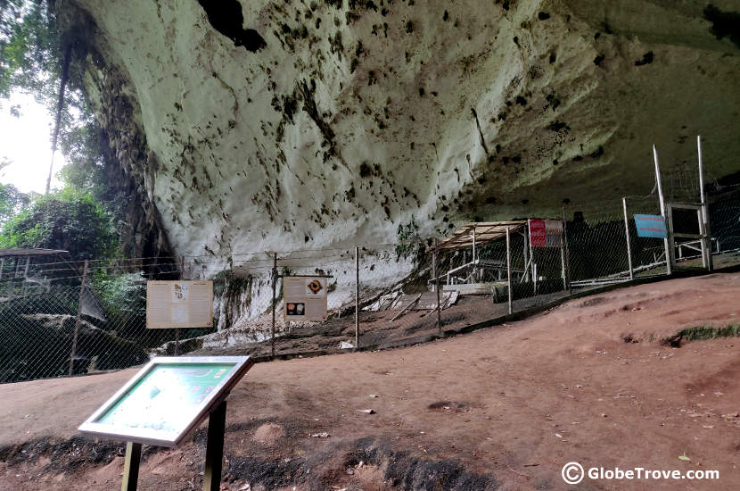 Archaeological dig site in Niah Caves