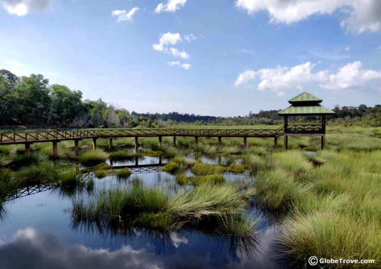 Forest Reserves and Recreational Parks in Brunei