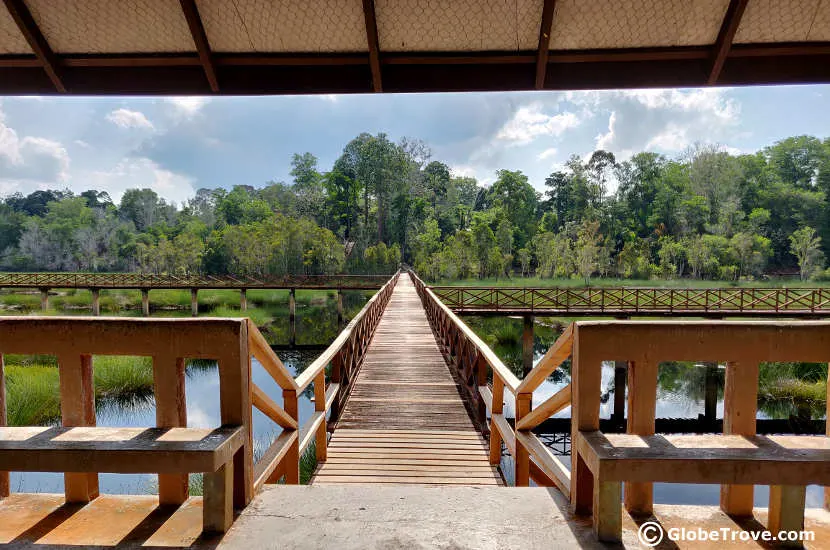 Lalak Lake in Labi Hills Forest Reserve