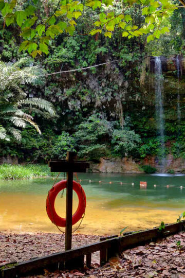 Lambir Hills National Park: An Amazing Wildlife Experience in Sarawak 16 Lambir Hills National Park