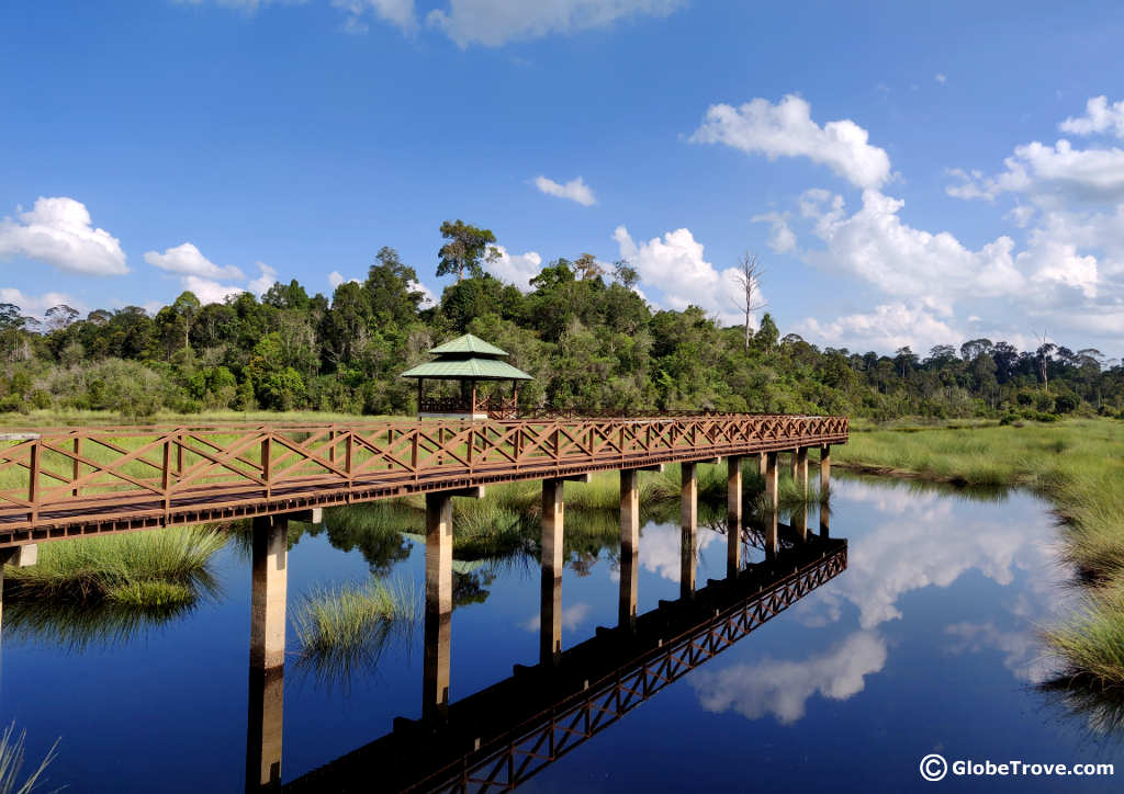 Luagan Park In Labi Hills Forest Reserve