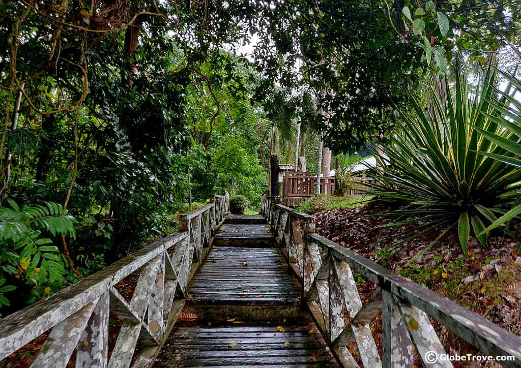 Niah National Park in Sarawak, Malaysia