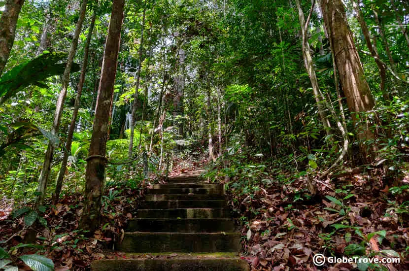 The second part of our trail at Lambir hills National park