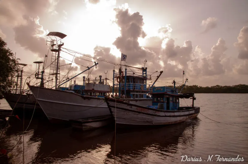 Mandovi River