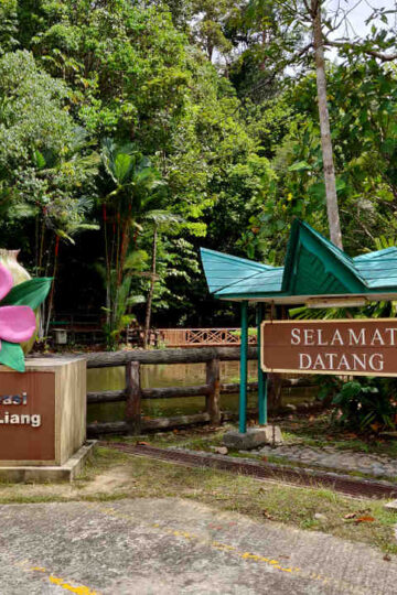 Sungai Liang Forest Recreation Park: A Popular Trail! 16 Sungai Liang Forest Recreation Park