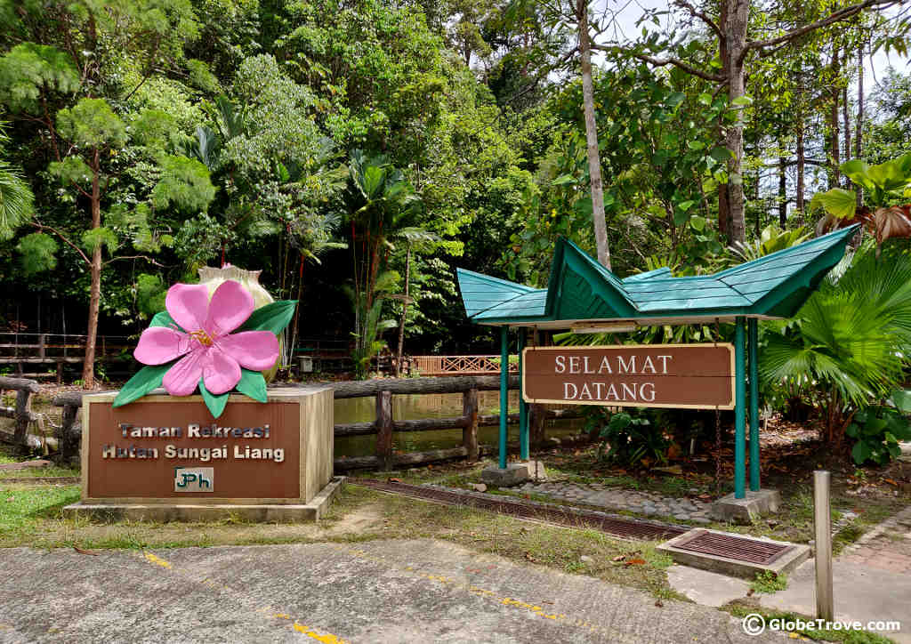 Sungai Liang Forest Recreation Park: A Popular Trail!