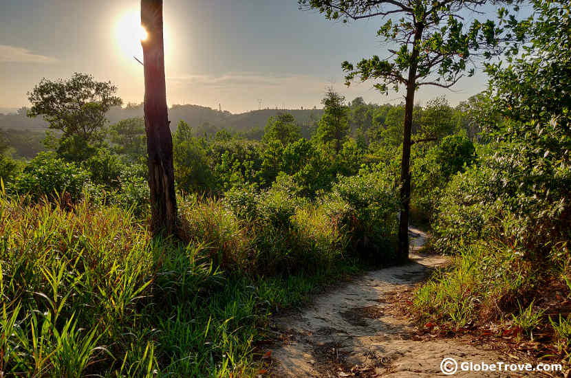 Sungai Liang trail