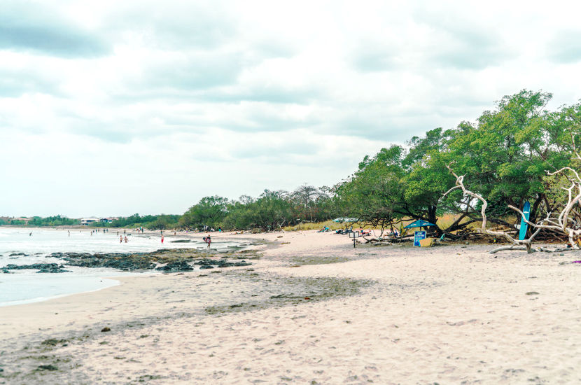 Costa Rica Playa Avellanas