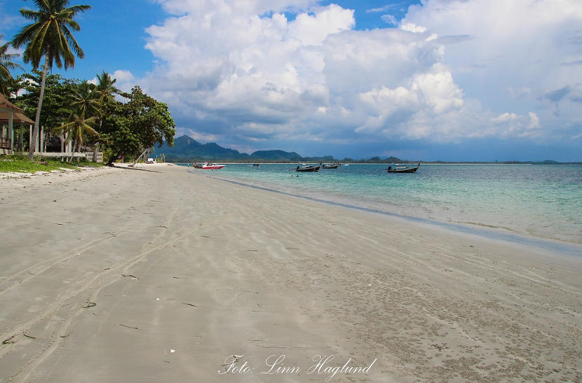 Koh Mook Brainy Backpackers