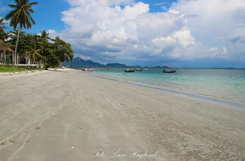 Koh Mook Brainy Backpackers