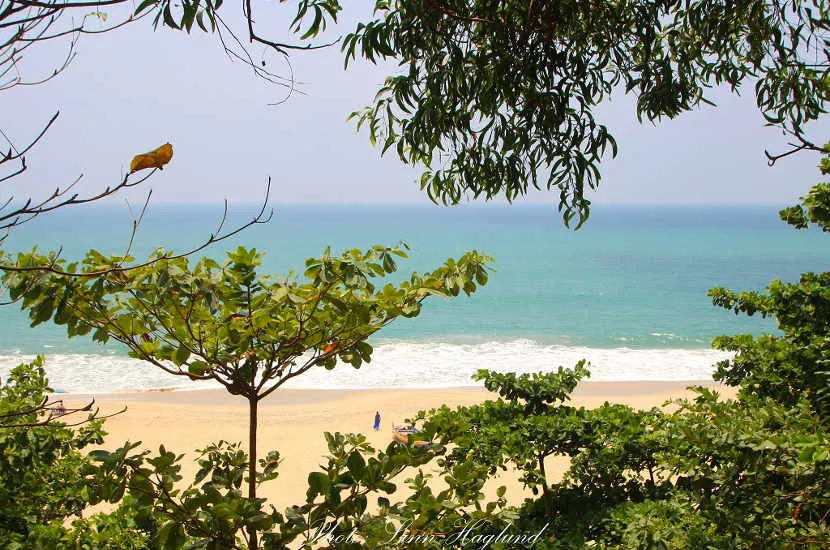 Varkala beach Brainy Backpackers