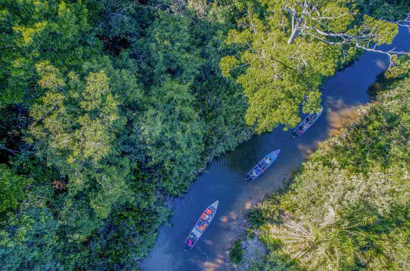 sungai kapur borneo cruise