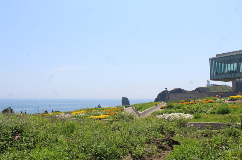 Ever thought of spending May in Asia in Jeju.