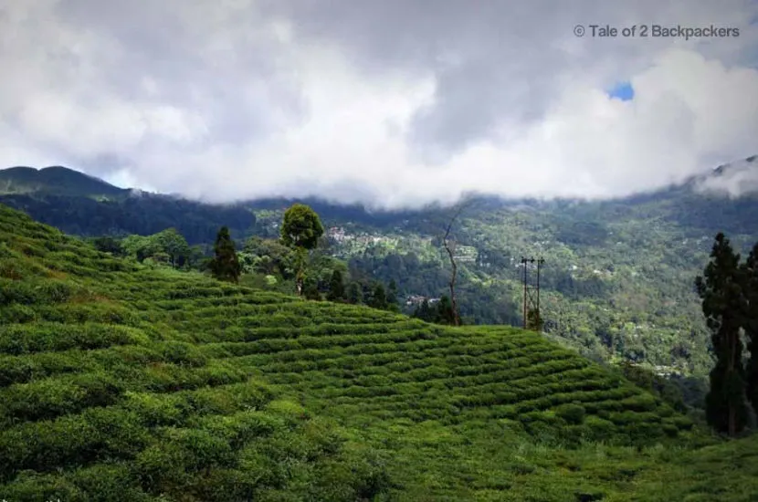 Darjeeling in India is a perfect place to spend May in Asia.