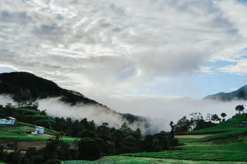 Benguet is a perfect spot to spend June in Asia.