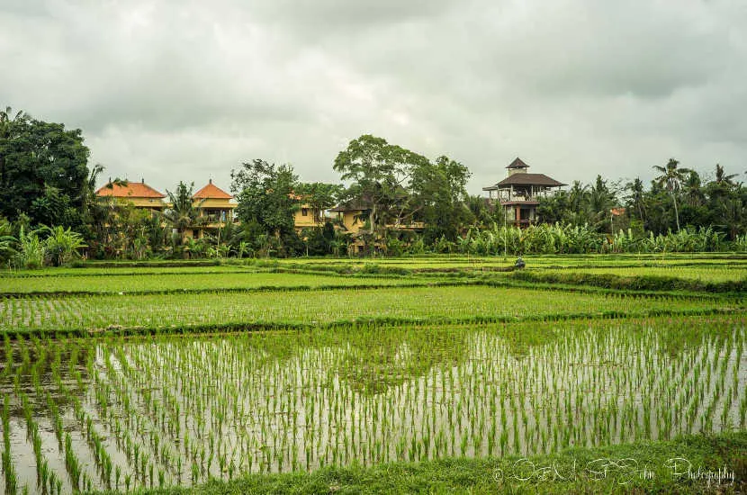 Indonesia's Bali is always a great choice when it comes to spending August in Asia.