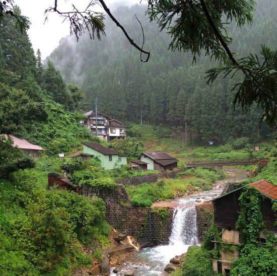 Ever considered spending September in Asia at the Snow monkey park in Japan.